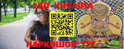 стафф Будённовск