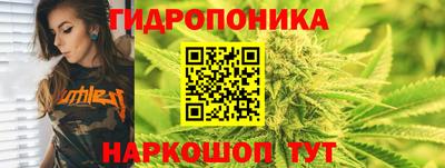 стафф Будённовск