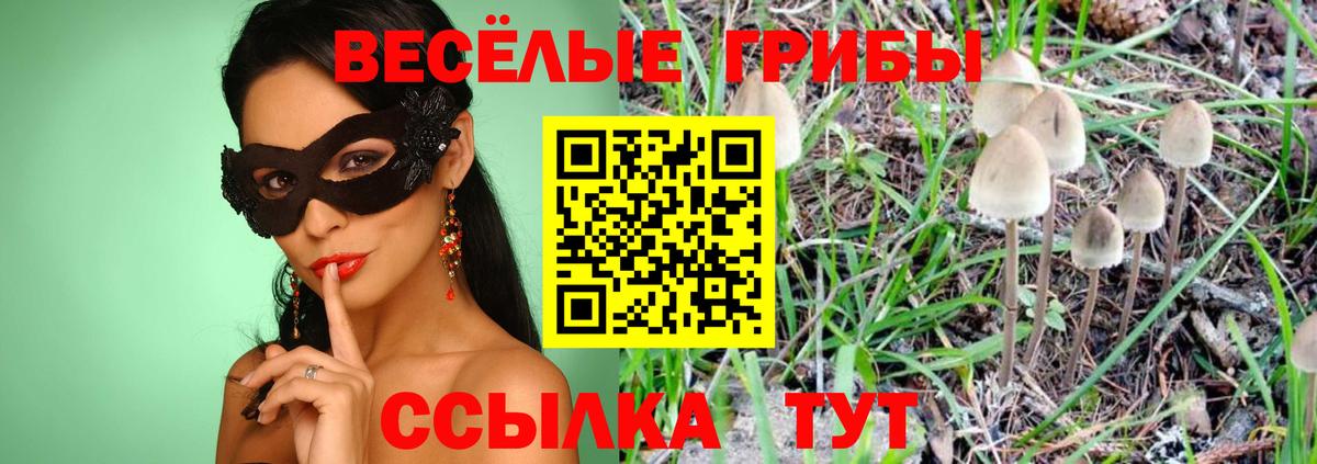Галлюциногенные грибы Magic Shrooms  Галлюциногенные грибы GOLDEN TEACHER  Вход с VPN  Миллерово 